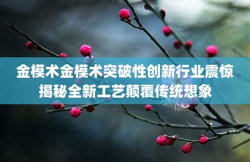 金模术金模术突破性创新行业震惊揭秘全新工艺颠覆传统想象