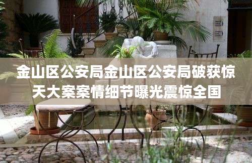 金山区公安局金山区公安局破获惊天大案案情细节曝光震惊全国
