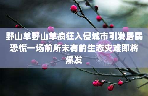 野山羊野山羊疯狂入侵城市引发居民恐慌一场前所未有的生态灾难即将爆发