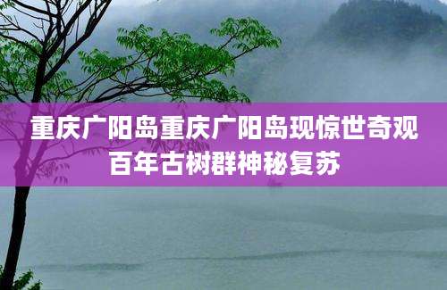 重庆广阳岛重庆广阳岛现惊世奇观百年古树群神秘复苏