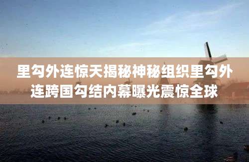 里勾外连惊天揭秘神秘组织里勾外连跨国勾结内幕曝光震惊全球