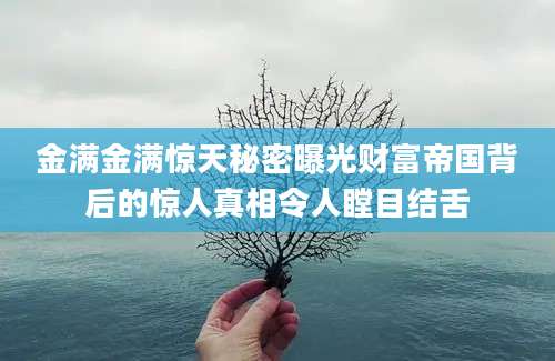 金满金满惊天秘密曝光财富帝国背后的惊人真相令人瞠目结舌