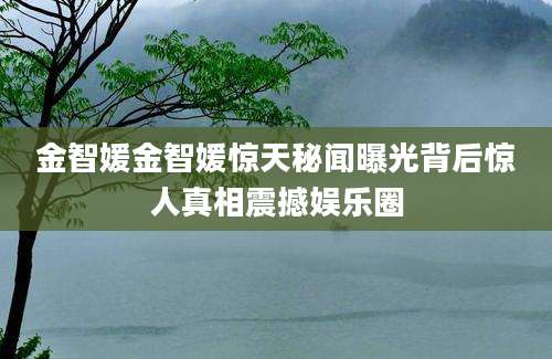 金智媛金智媛惊天秘闻曝光背后惊人真相震撼娱乐圈