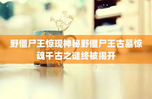 野僵尸王惊现神秘野僵尸王古墓惊魂千古之谜终被揭开