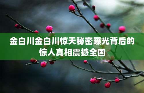金白川金白川惊天秘密曝光背后的惊人真相震撼全国