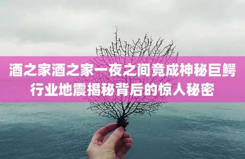 酒之家酒之家一夜之间竟成神秘巨鳄行业地震揭秘背后的惊人秘密