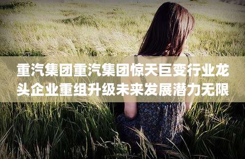 重汽集团重汽集团惊天巨变行业龙头企业重组升级未来发展潜力无限