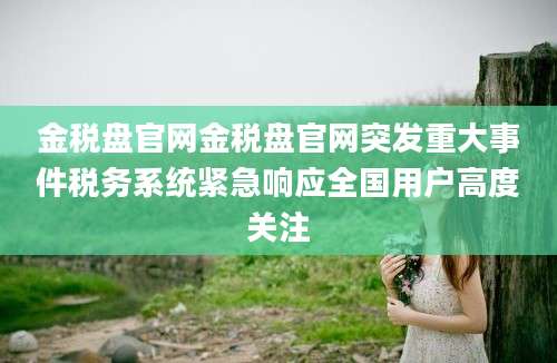金税盘官网金税盘官网突发重大事件税务系统紧急响应全国用户高度关注