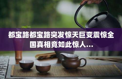 都宝路都宝路突发惊天巨变震惊全国真相竟如此惊人...