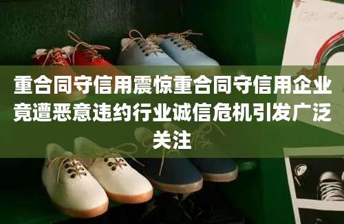 重合同守信用震惊重合同守信用企业竟遭恶意违约行业诚信危机引发广泛关注