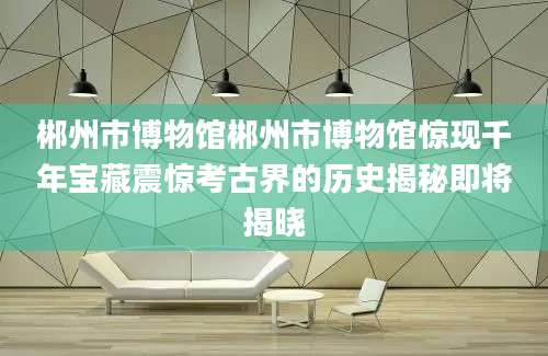郴州市博物馆郴州市博物馆惊现千年宝藏震惊考古界的历史揭秘即将揭晓