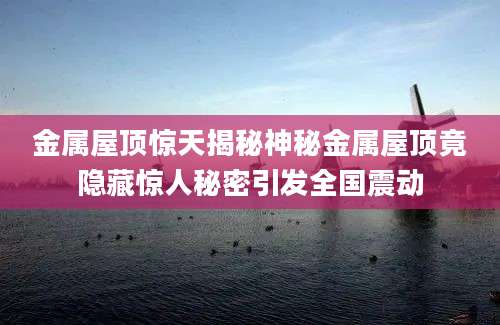 金属屋顶惊天揭秘神秘金属屋顶竟隐藏惊人秘密引发全国震动