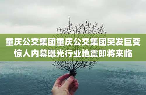 重庆公交集团重庆公交集团突发巨变惊人内幕曝光行业地震即将来临