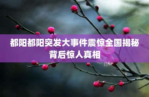 都阳都阳突发大事件震惊全国揭秘背后惊人真相
