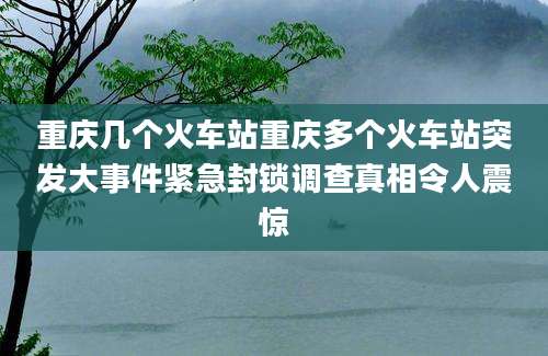 重庆几个火车站重庆多个火车站突发大事件紧急封锁调查真相令人震惊