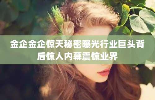 金企金企惊天秘密曝光行业巨头背后惊人内幕震惊业界