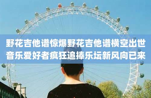 野花吉他谱惊爆野花吉他谱横空出世音乐爱好者疯狂追捧乐坛新风向已来