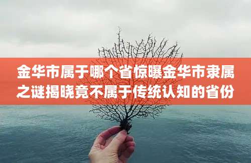 金华市属于哪个省惊曝金华市隶属之谜揭晓竟不属于传统认知的省份