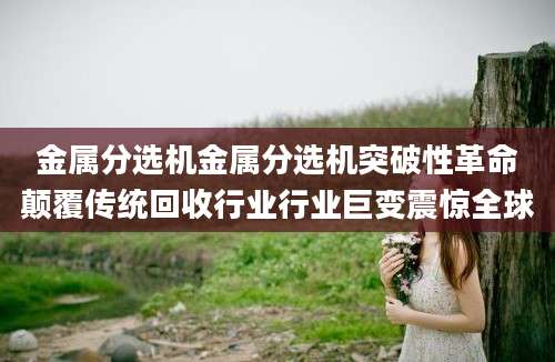 金属分选机金属分选机突破性革命颠覆传统回收行业行业巨变震惊全球