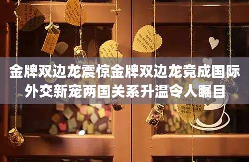 金牌双边龙震惊金牌双边龙竟成国际外交新宠两国关系升温令人瞩目