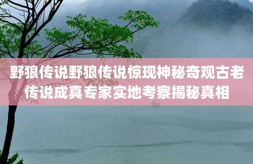 野狼传说野狼传说惊现神秘奇观古老传说成真专家实地考察揭秘真相