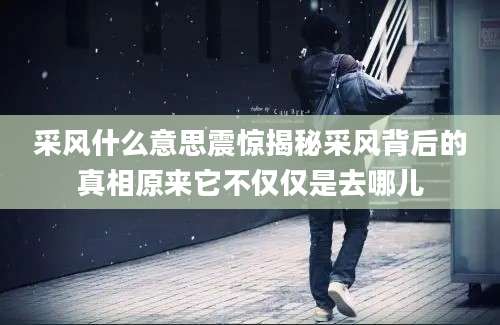 采风什么意思震惊揭秘采风背后的真相原来它不仅仅是去哪儿