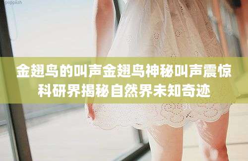 金翅鸟的叫声金翅鸟神秘叫声震惊科研界揭秘自然界未知奇迹