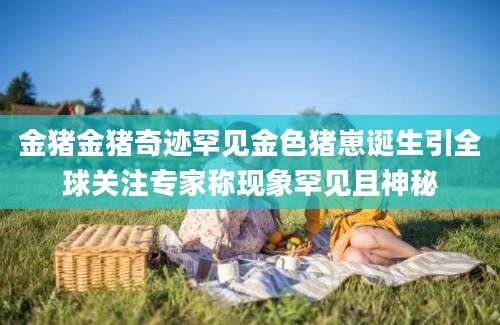 金猪金猪奇迹罕见金色猪崽诞生引全球关注专家称现象罕见且神秘
