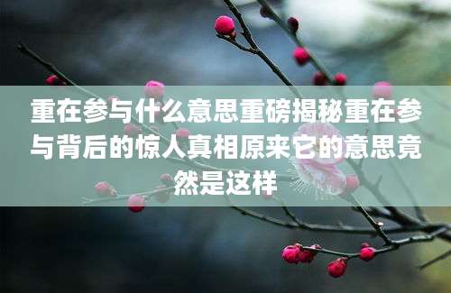 重在参与什么意思重磅揭秘重在参与背后的惊人真相原来它的意思竟然是这样
