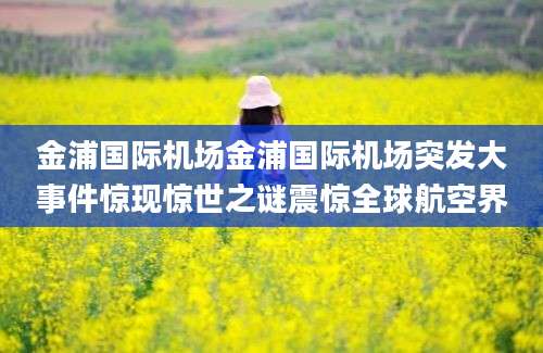 金浦国际机场金浦国际机场突发大事件惊现惊世之谜震惊全球航空界