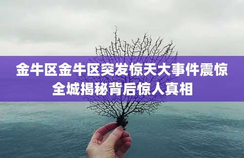 金牛区金牛区突发惊天大事件震惊全城揭秘背后惊人真相