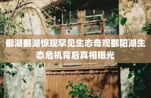 鄱湖鄱湖惊现罕见生态奇观鄱阳湖生态危机背后真相曝光