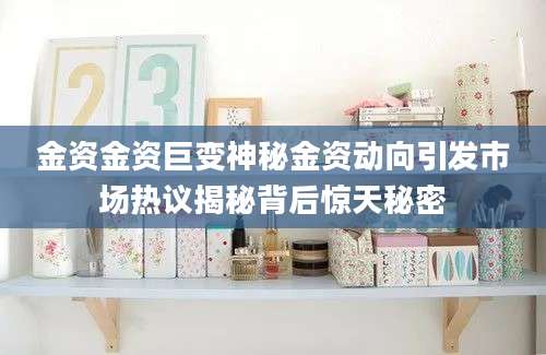 金资金资巨变神秘金资动向引发市场热议揭秘背后惊天秘密