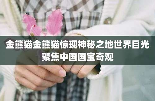 金熊猫金熊猫惊现神秘之地世界目光聚焦中国国宝奇观