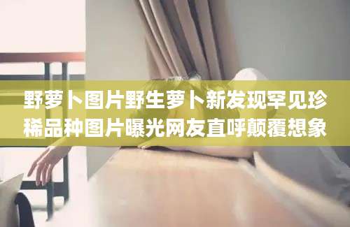 野萝卜图片野生萝卜新发现罕见珍稀品种图片曝光网友直呼颠覆想象