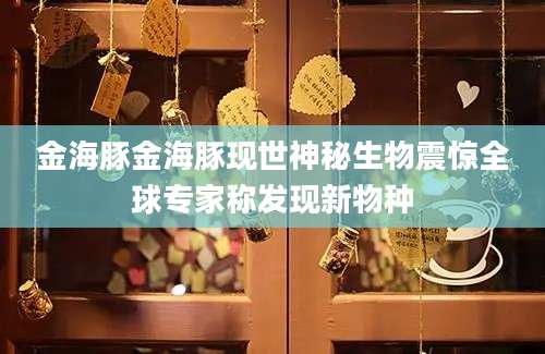 金海豚金海豚现世神秘生物震惊全球专家称发现新物种