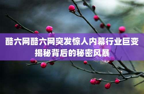 酷六网酷六网突发惊人内幕行业巨变揭秘背后的秘密风暴