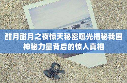 酣月酣月之夜惊天秘密曝光揭秘我国神秘力量背后的惊人真相