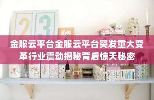 金服云平台金服云平台突发重大变革行业震动揭秘背后惊天秘密