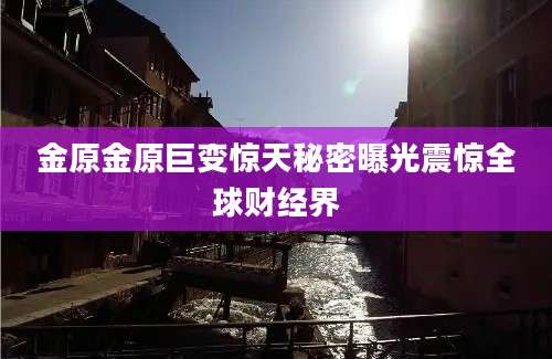 金原金原巨变惊天秘密曝光震惊全球财经界