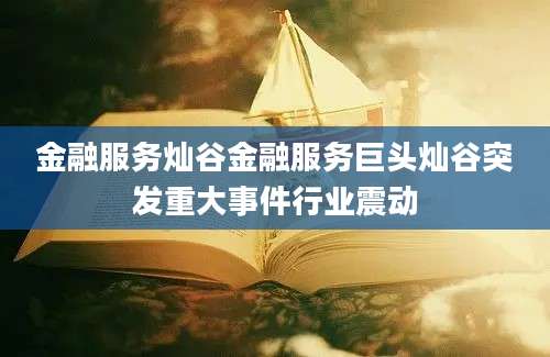 金融服务灿谷金融服务巨头灿谷突发重大事件行业震动