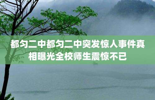 都匀二中都匀二中突发惊人事件真相曝光全校师生震惊不已