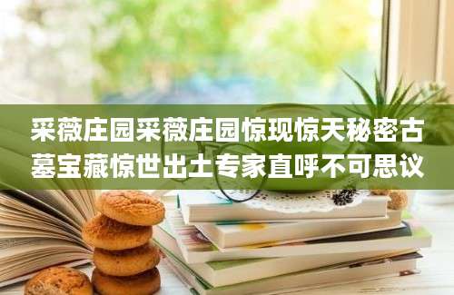 采薇庄园采薇庄园惊现惊天秘密古墓宝藏惊世出土专家直呼不可思议