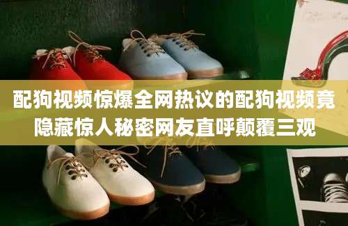 配狗视频惊爆全网热议的配狗视频竟隐藏惊人秘密网友直呼颠覆三观