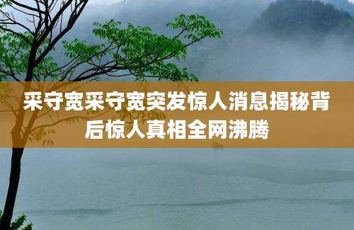 采守宽采守宽突发惊人消息揭秘背后惊人真相全网沸腾