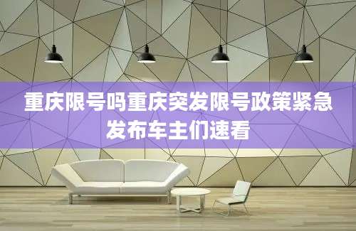 重庆限号吗重庆突发限号政策紧急发布车主们速看