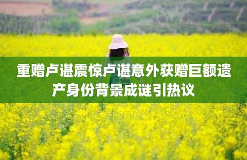 重赠卢谌震惊卢谌意外获赠巨额遗产身份背景成谜引热议