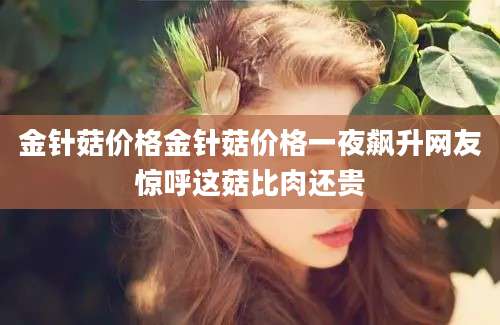 金针菇价格金针菇价格一夜飙升网友惊呼这菇比肉还贵