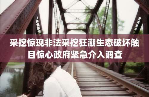 采挖惊现非法采挖狂潮生态破坏触目惊心政府紧急介入调查