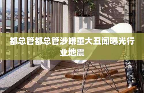 都总管都总管涉嫌重大丑闻曝光行业地震